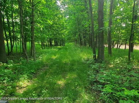0000 W Pratt Rd, Dewitt, MI 48820 photo 6