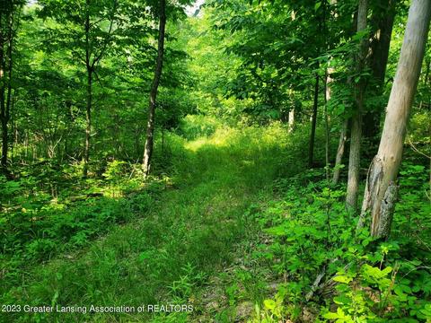 0000 W Pratt Rd, Dewitt, MI 48820 photo 4