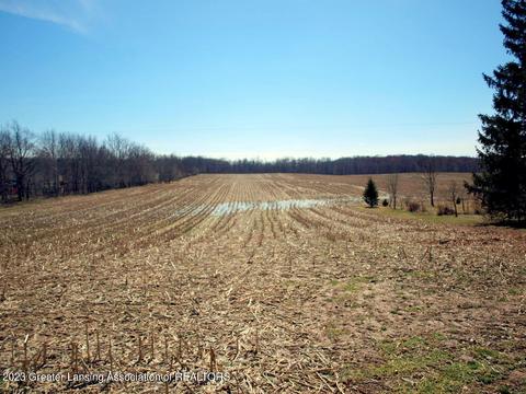 0000 W Pratt Rd, Dewitt, MI 48820 photo 2