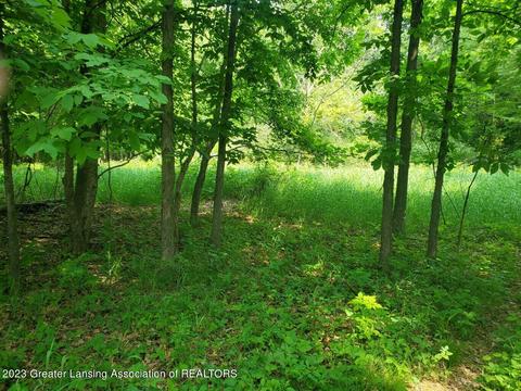 0000 W Pratt Rd, Dewitt, MI 48820 photo 7