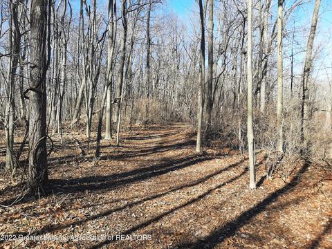 4137 Ballantine, Dewitt, MI 48820 photo 2