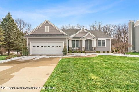 13241 Watercrest Dr, Dewitt, MI 48820 photo 59