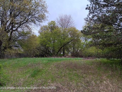 206 E Davis St, Harrison, MI 48625 photo 9