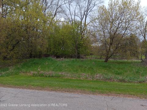 206 E Davis St, Harrison, MI 48625 photo 8