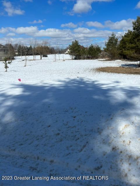 1662 W Tuttle Rd, Ionia, MI 48846