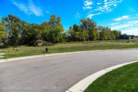 11585 Kalamata Dr, Dewitt, MI 48820 photo 3