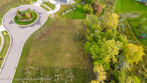 11585 Kalamata Dr, Dewitt, MI 48820 photo 7