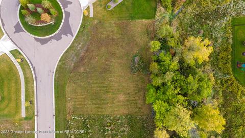11585 Kalamata Dr, Dewitt, MI 48820 photo 9