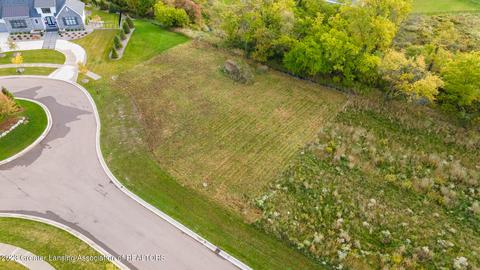 11585 Kalamata Dr, Dewitt, MI 48820 photo 6