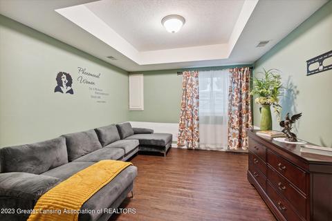 11680 Rachel Ln, Dewitt, MI 48820 photo 12