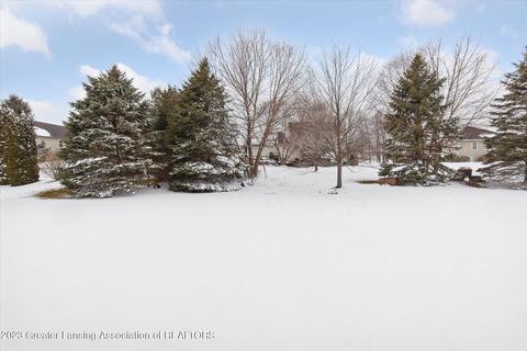 11680 Rachel Ln, Dewitt, MI 48820 photo 27