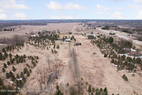 1135 E Alward Rd, Dewitt, MI 48820 photo 69