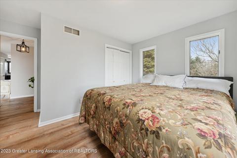 1135 E Alward Rd, Dewitt, MI 48820 photo 32
