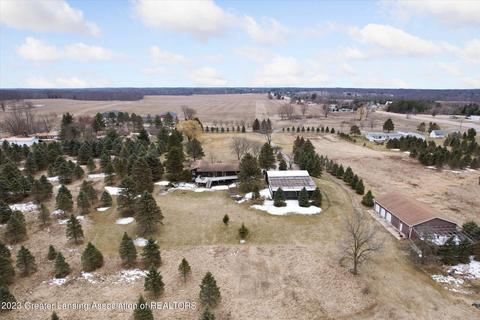 1135 E Alward Rd, Dewitt, MI 48820 photo 65