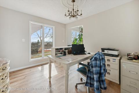 1135 E Alward Rd, Dewitt, MI 48820 photo 26