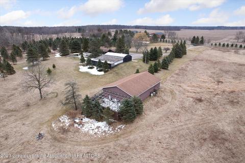 1135 E Alward Rd, Dewitt, MI 48820 photo 67