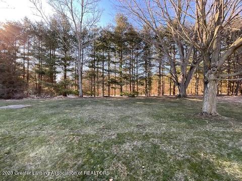 9290 Marshall Rd, Olivet, MI 49076 photo 5