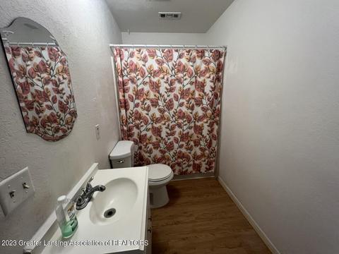 1727 Maple Ridge Rd #66, Haslett, MI 48840 photo 9