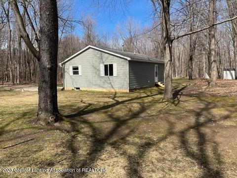12421 Kruger Ln, Dewitt, MI 48820 photo 5