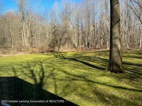12421 Kruger Ln, Dewitt, MI 48820 photo 36