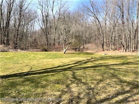 12421 Kruger Ln, Dewitt, MI 48820 photo 37