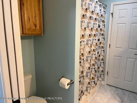 12421 Kruger Ln, Dewitt, MI 48820 photo 19