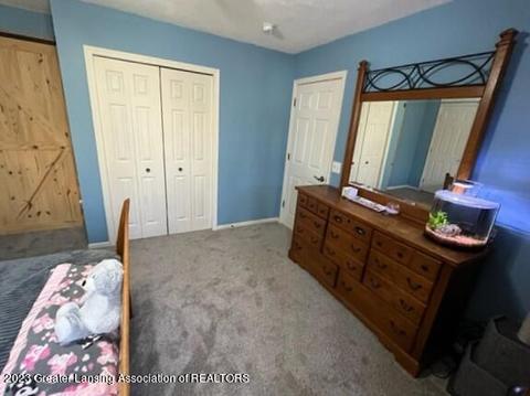 12421 Kruger Ln, Dewitt, MI 48820 photo 23