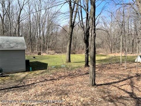 12421 Kruger Ln, Dewitt, MI 48820 photo 40