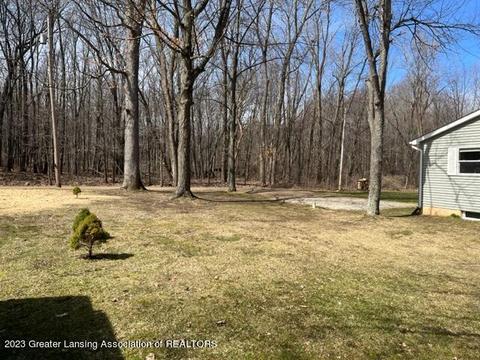12421 Kruger Ln, Dewitt, MI 48820 photo 35