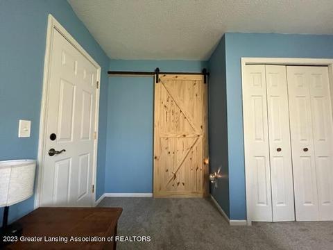 12421 Kruger Ln, Dewitt, MI 48820 photo 24
