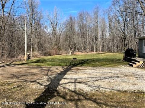 12421 Kruger Ln, Dewitt, MI 48820 photo 41