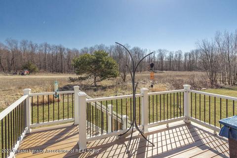 13795 Bauerle Rd, Dewitt, MI 48820 photo 46