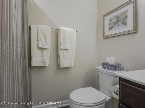 1200 Wineleaf Ln, Dewitt, MI 48820 photo 31