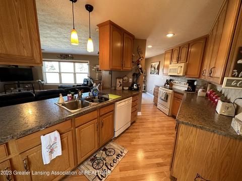 11730 Krepps Rd, Dewitt, MI 48820 photo 7