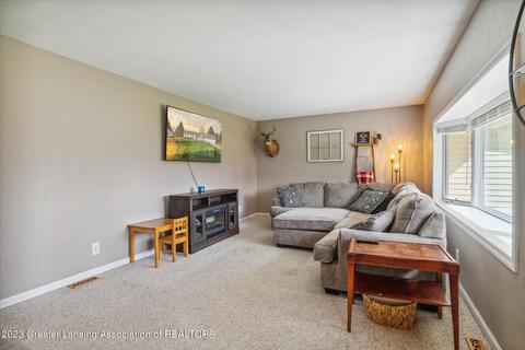 811 E Webb Dr, Dewitt, MI 48820 photo 6