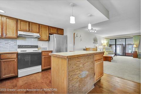 504 Red Cedar Blvd, Williamston, MI 48895 photo 16