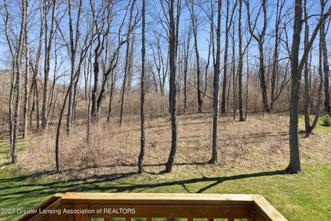 13585 Sienna Pass, Dewitt, MI 48820 photo 64