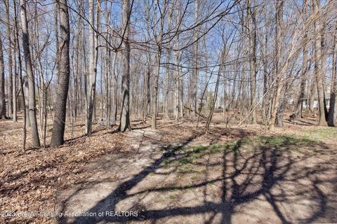 1568 Sanborn Dr, Dewitt, MI 48820 photo 49