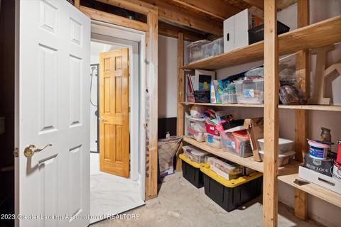 1568 Sanborn Dr, Dewitt, MI 48820 photo 46