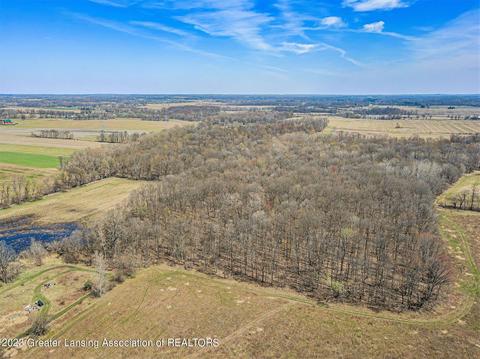 12305 Musbach Rd, Munith, MI 49259 photo 22