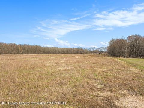 12305 Musbach Rd, Munith, MI 49259 photo 2