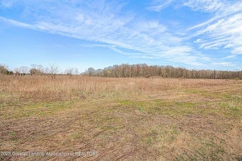 12305 Musbach Rd, Munith, MI 49259 photo 11