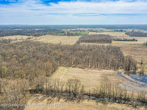12305 Musbach Rd, Munith, MI 49259 photo 18