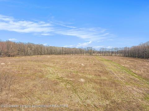 12305 Musbach Rd, Munith, MI 49259 photo 3