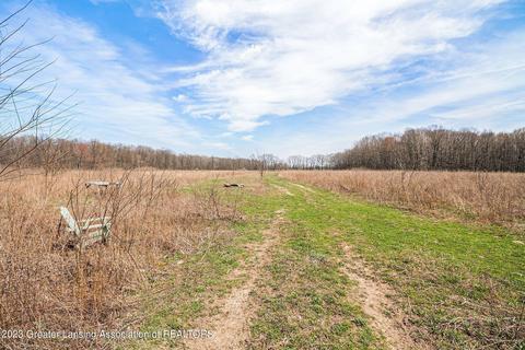 12305 Musbach Rd, Munith, MI 49259 photo 8