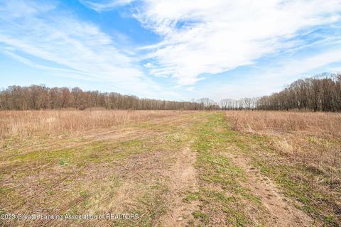 12305 Musbach Rd, Munith, MI 49259 photo 12