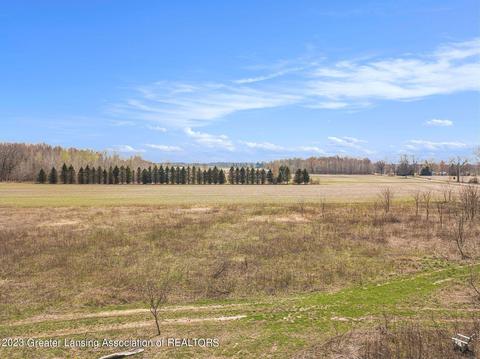 12305 Musbach Rd, Munith, MI 49259 photo 4