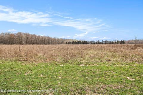 12305 Musbach Rd, Munith, MI 49259 photo 9