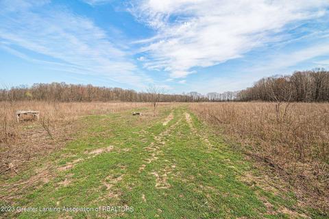 12305 Musbach Rd, Munith, MI 49259 photo 10