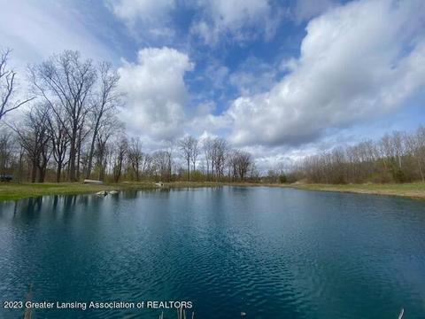 4417 Britton Rd, Perry, MI 48872 photo 2